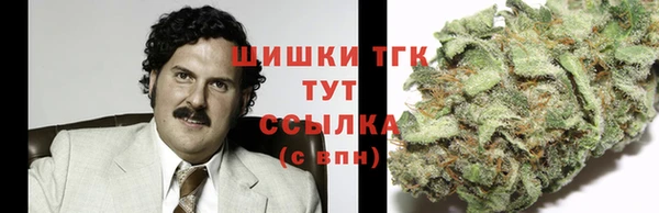 ECSTASY Ладушкин