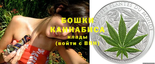 ECSTASY Ладушкин
