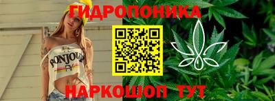 дмт Ливны