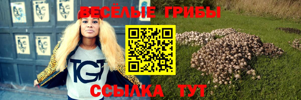 Галлюциногенные грибы мухоморы Усть-Илимск
