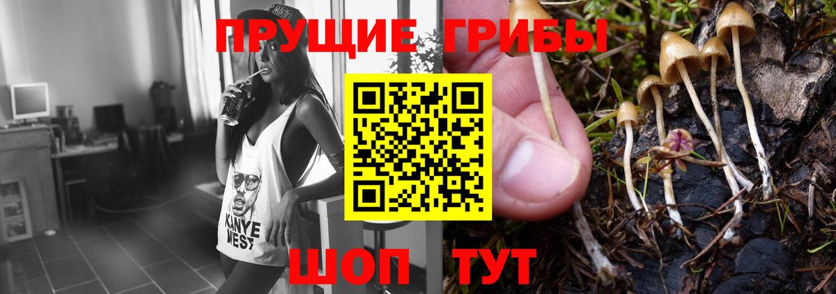 Усть-Илимск  Псилоцибиновые грибы прущие грибы  Вход с VPN 