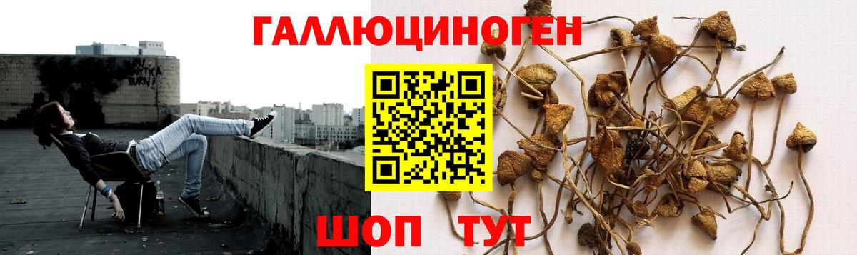 Псилоцибиновые грибы мухоморы  Усть-Илимск 