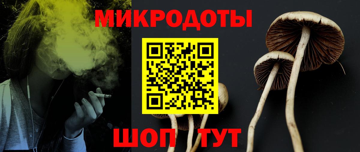 Галлюциногенные грибы Psilocybe Усть-Илимск